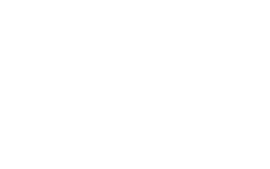 Elisa Nordic Championship 